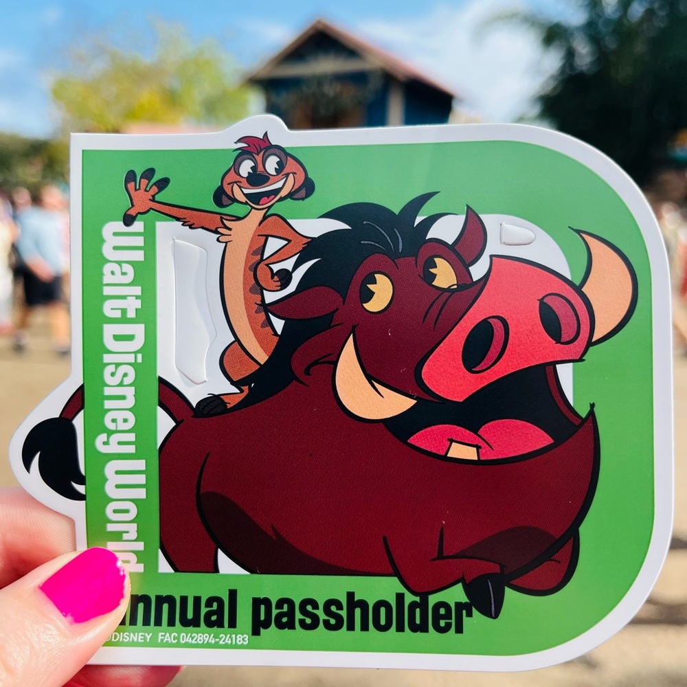 Disney Annual Passholder Authentic Timon and Pumba From Lion King Car Magnet